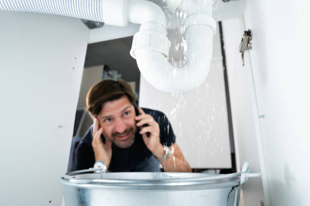 Best Local Plumber Services  in Bushland, TX